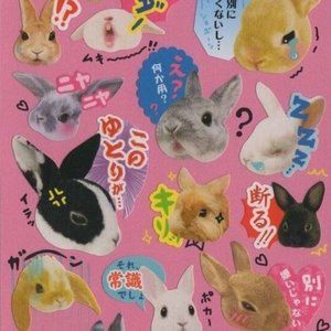 Meet your Posher, Faye & Selena